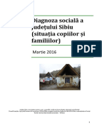 Diagnoza Socială a Județului Sibiu Raport Feb 2016.Docx