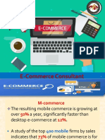 E-Commerce Consultant (Part 10)