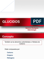 Glucidos 2019