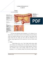 Resume CKD HD PLAMONIA