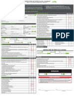 Anexo C_ Inspeccion_vehiculos_livianos.pdf