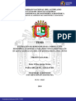 Quispe Ticona Wilber PDF