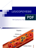 Leucopoyesis 2016