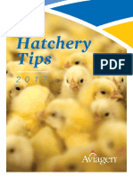 HatcheryTips 1 22 EN PDF