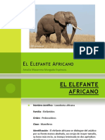 El Elefante Africano