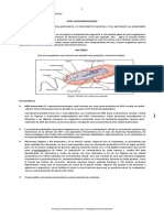 4-Biología-Electivo-Microorganismos.pdf