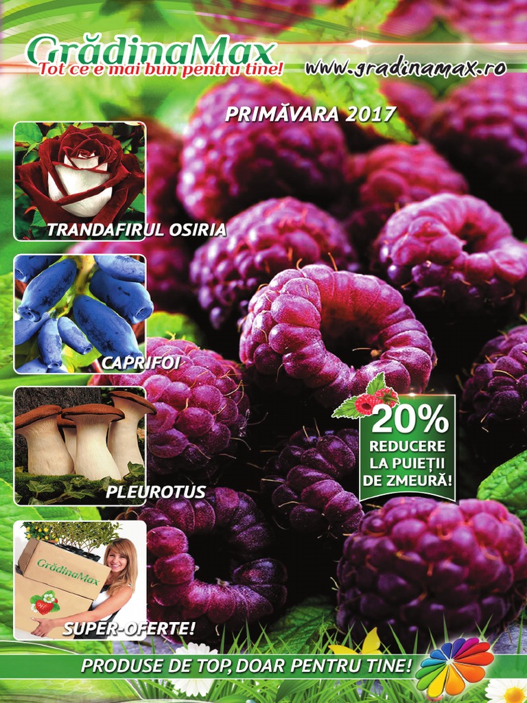 Catalog Gradinamax PDF | PDF