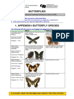 ID Butterflies PDF
