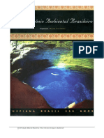 A_producao_mineral_brasileira_cinco_secu.pdf