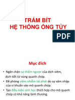 Tls - trám Bít Hệ Thống Ống Tủy