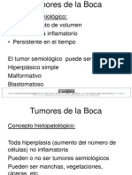 Hiperplasicos_simple.pdf