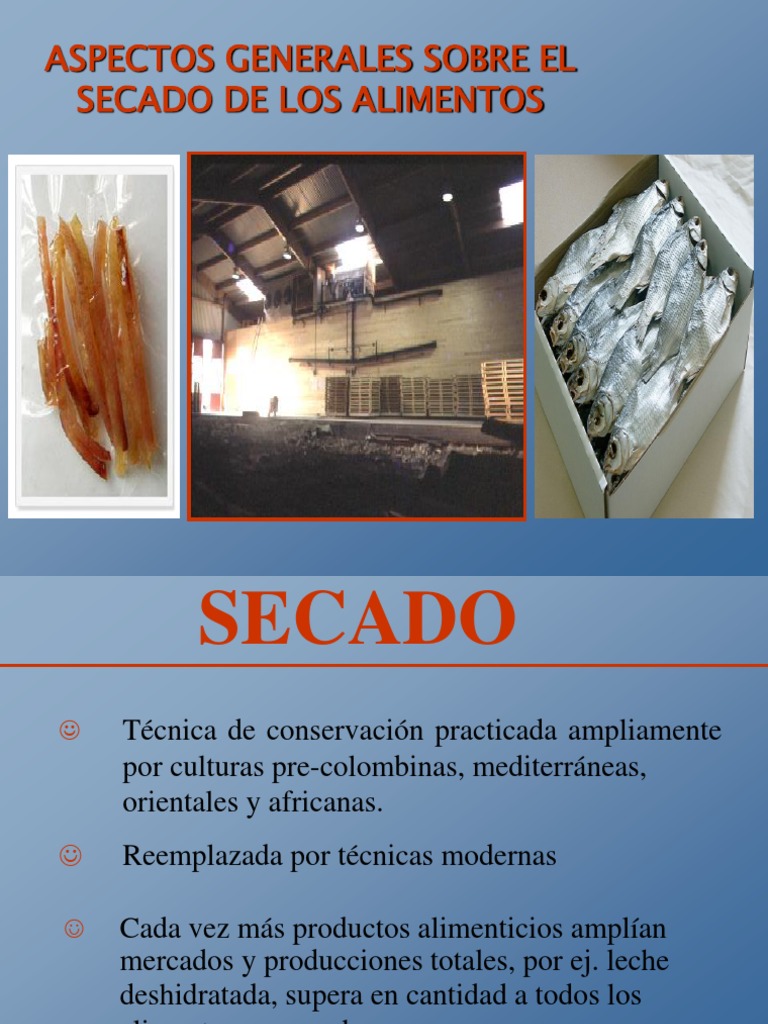 Guía Completa del Secado de Alimentos | PDF | Humedad | Evaporación