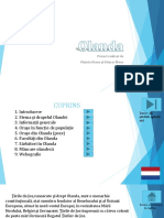 Proiect TIC - Olanda