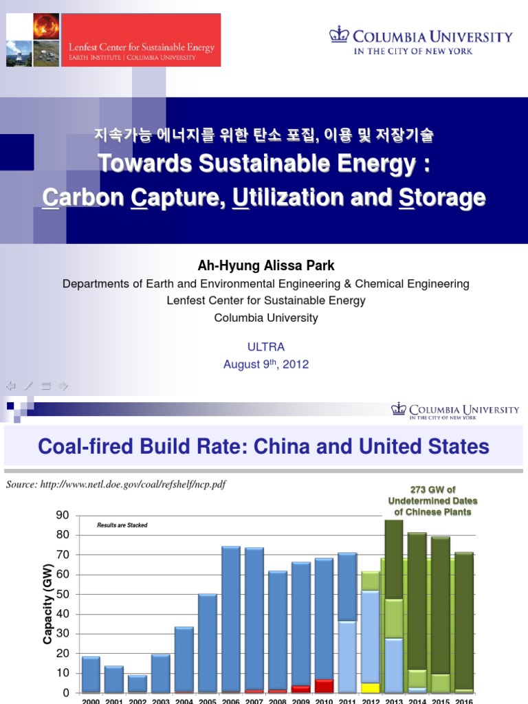 Carbon Capture and Storage Technologies | PDF | Carbon Capture And ...