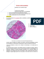Tecido Cartilaginoso