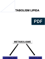 Metabolisme Lemak