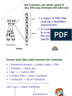 9 Nukleus Materi Genetik