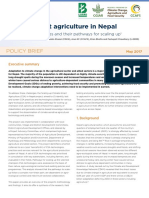 Nepal Agriculture Synthesis Final444