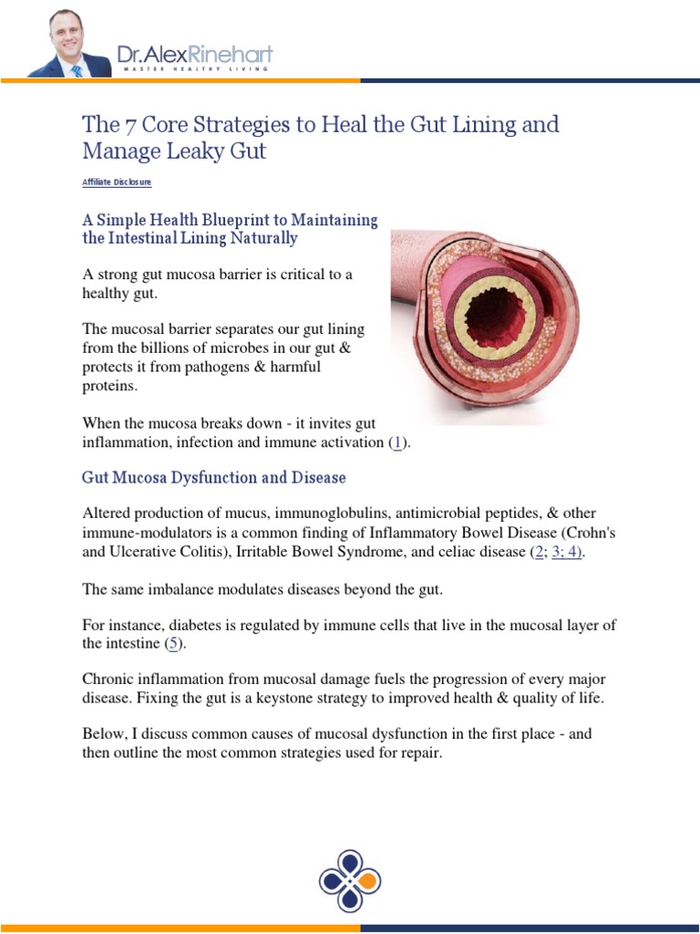 7 Core Strategies To Heal The Gut Lining PDF Gastrointestinal Tract