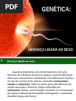 Herança Ligada Ao Sexo