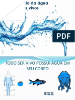 A importância da água para os seres vivos.pptx