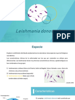 Leishmania Donovani