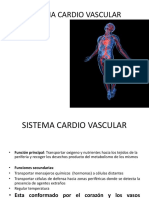 Sistema CV Circulacion Mayor y Menor