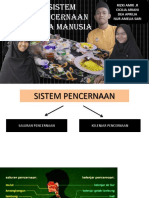 Enzim Enzim Pada Sistem Pencernaan Dan Fungsinya