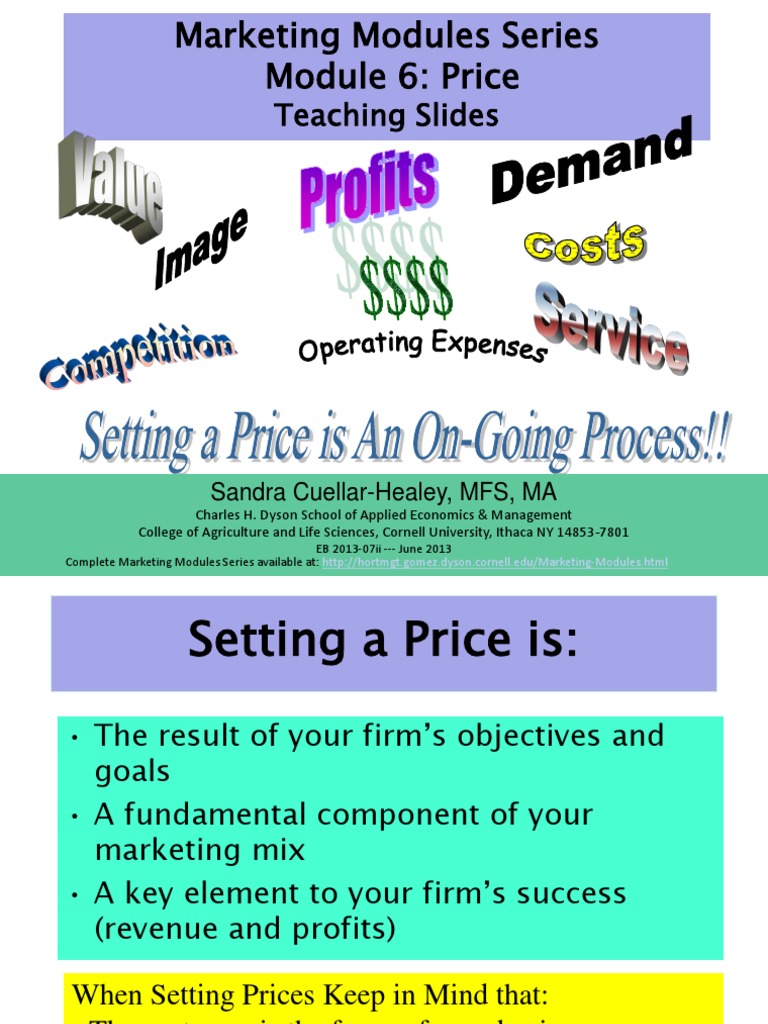 Effective Pricing Strategies for Success | PDF | Gross Margin | Profit ...