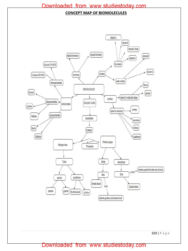 CBSE Class 12 Chemistry Biomolecules Concept Map PDF PDF