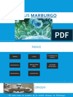 Virus Marburgo Nicc 2.0