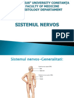 LP1. Sistem nervos.ppt