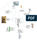 Mapa Mental Modelos Gerenciales para La Innovación