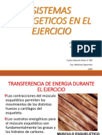 1.-SISTEMAS-ENERGETICOS-EN-EL-EJERCICIO-JCGT-CENG.pdf