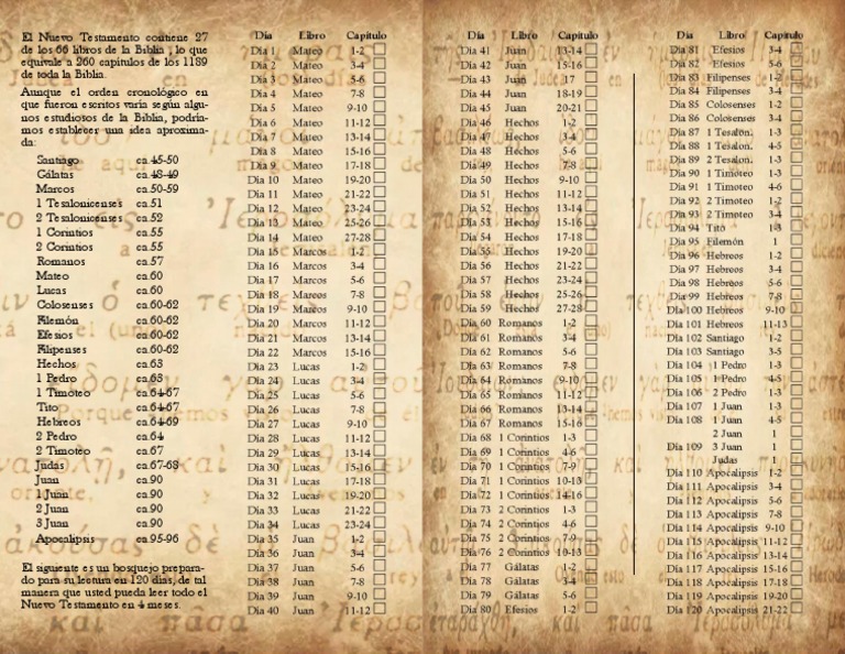 Planes De Lectura