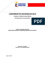 Lineamientos de VSP 2018.pdf