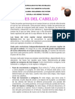 FASES DEL CABELLO.docx