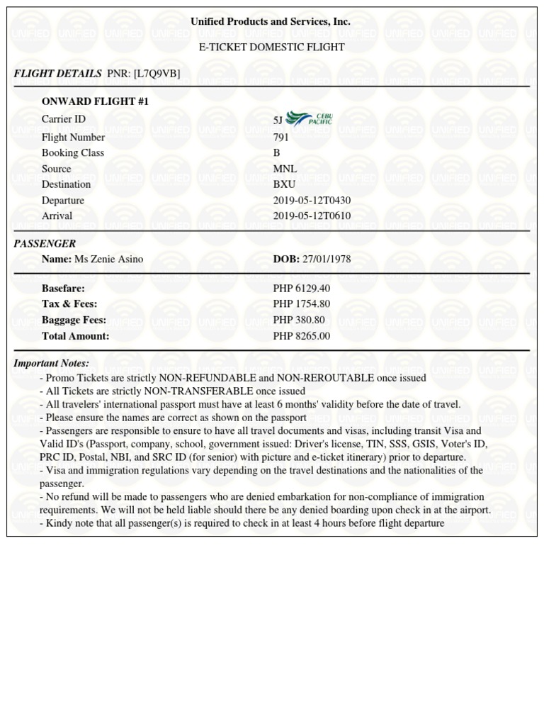 Flight Details PNR: (L7Q9Vb) : Unified Products and Services, Inc | PDF