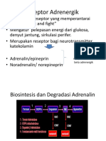 Hubungan Struktur Aktivitas Senyawa Adrenergik