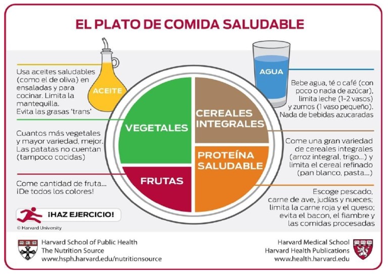 Plato de Harvard – Almudena Seijido