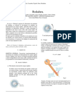 Preinforme e Informe Rodadura PDF