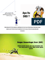 PPT DHF asique