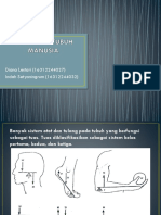 BIOFISIKA Fix (Tuas Pada Tubuh Manusia)