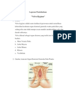 288566760-LP-Vulva-Hygiene-PNIR.docx