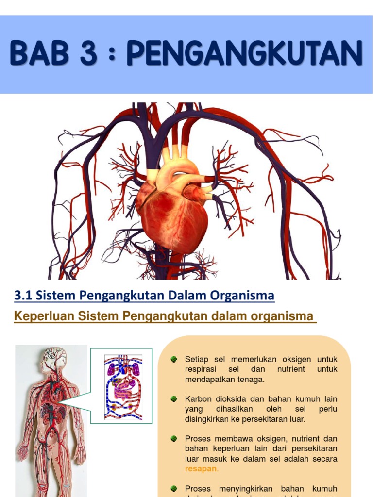 Sains Tingkatan 1 Bab 3 2019