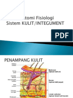 Anatomi Fisiologi Kulit