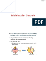 GASTRULASI-2014.pdf