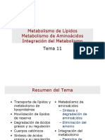 243975409-Metabolismo-de-Lipidos-Metabolismo-de-Aminoacidos-Integracion-del-Metabolismo-pdf.pdf