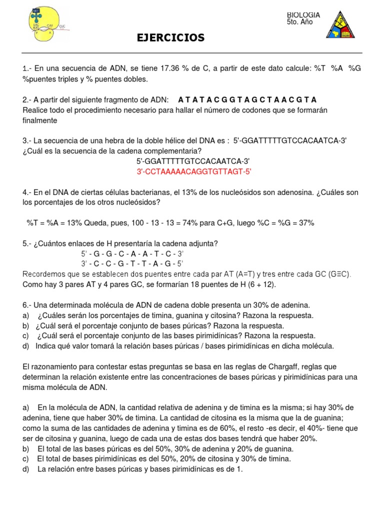 Ejercicios ADN | PDF | Adn | Ácidos nucleicos, image size:768x1024