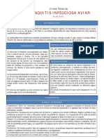 bronquitis infecciosa 1.pdf